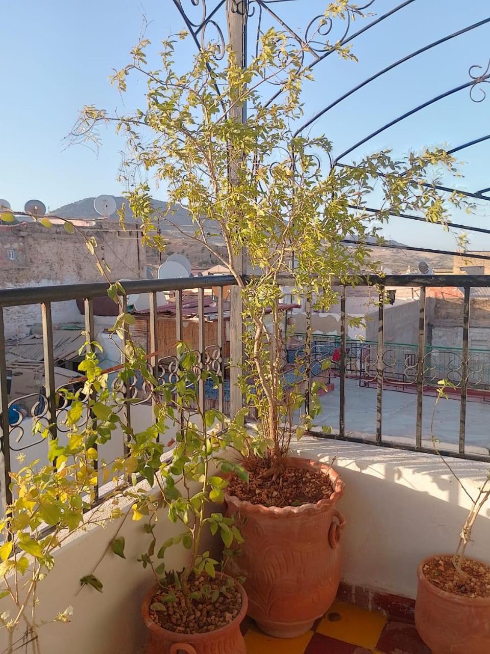 Riad Drissia Panoramic Фес Екстериор снимка